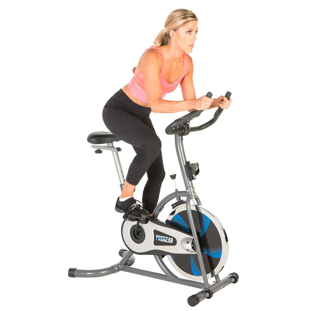 ProGear 100S Exercise Bike Indoor Training Cycle